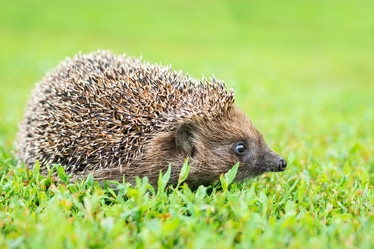 Similar image 22051270