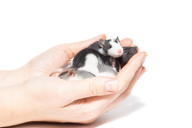 Similar image 22051271