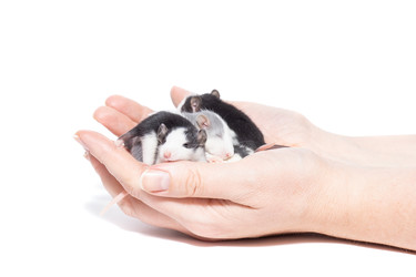 Similar image 22051275