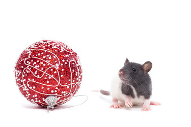 Similar image 22050764