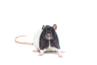 Similar image 22050771