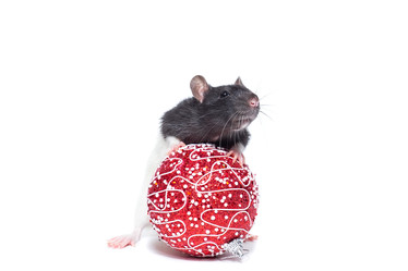 Similar image 22050775