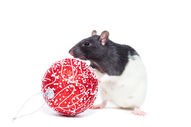 Similar image 22050777