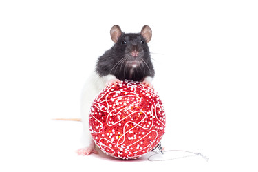 Similar image 22050781