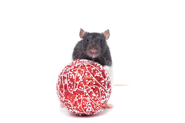 Similar image 22050785