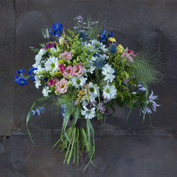 Similar image 22050611