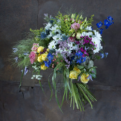 Similar image 22050613