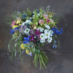 Similar image 22050617