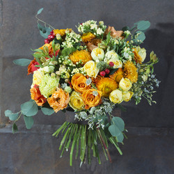 Similar image 22050618