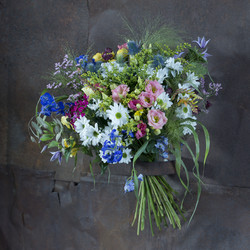 Similar image 22050619