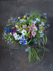 Similar image 22050621