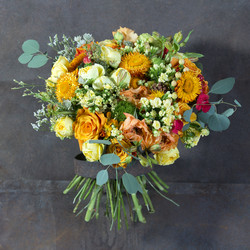 Similar image 22050626