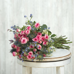 Similar image 22050804