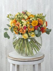 Similar image 22050809