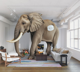 Similar image 22050983