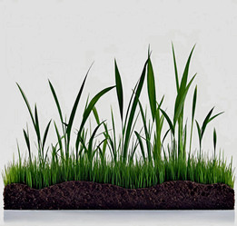 Similar image 22051785