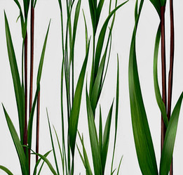 Similar image 22051786