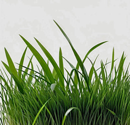 Similar image 22051787