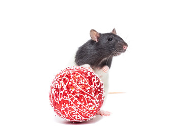 Similar image 22051282