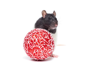 Similar image 22051286