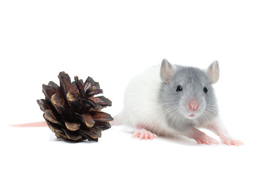 Similar image 22051292