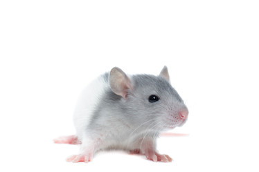 Similar image 22051293