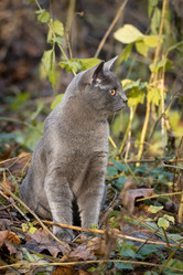 Similar image 22051297