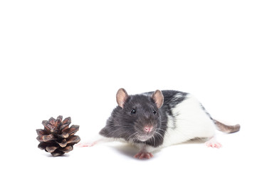 Similar image 22051308