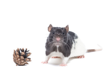 Similar image 22051314