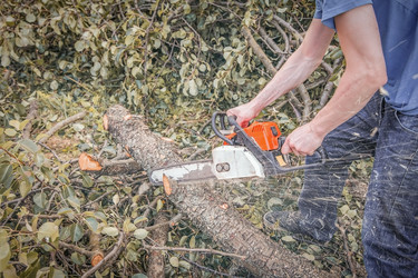 Similar image 22051855