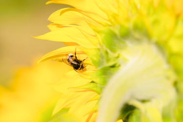 Similar image 22051856