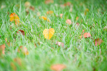 Similar image 22051857