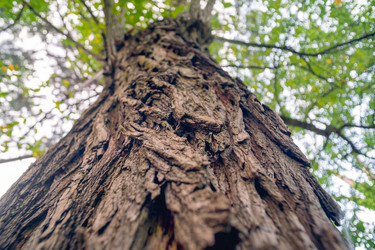 Similar image 22051861