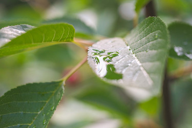 Similar image 22051863