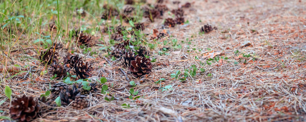 Similar image 22051864