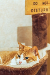 Similar image 22051866