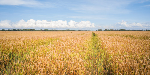 Similar image 22051868