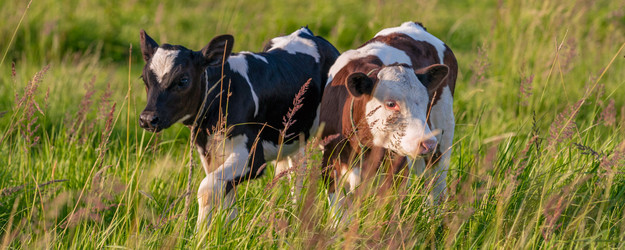 Similar image 22051870