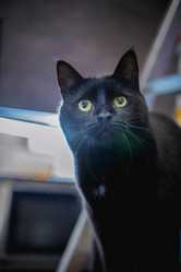 Similar image 22051873