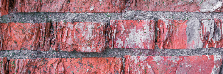 Similar image 22051876