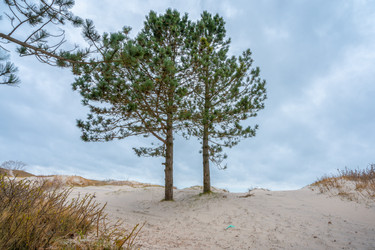 Similar image 22051880