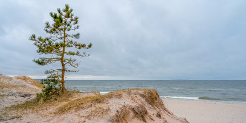 Similar image 22051882