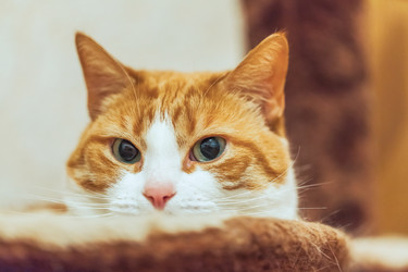 Similar image 22051883