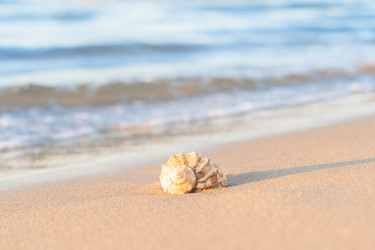 Similar image 22051884