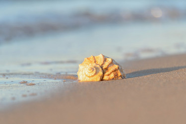 Similar image 22051885