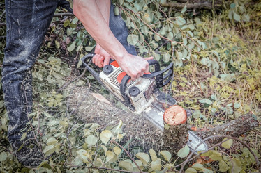 Similar image 22051887