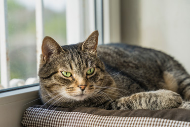 Similar image 22051890