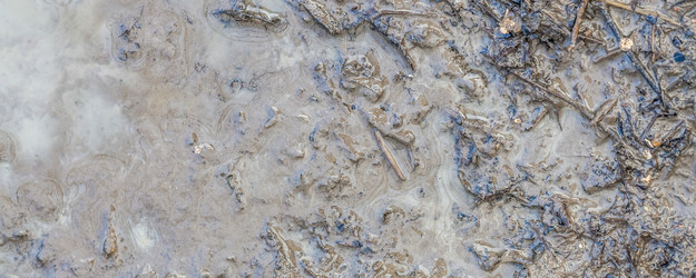 Similar image 22051899