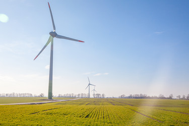 Similar image 22051901