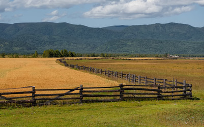 Similar image 22055779